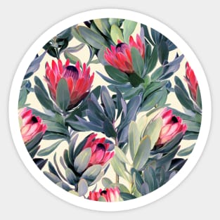 Painted Protea Pattern Sticker